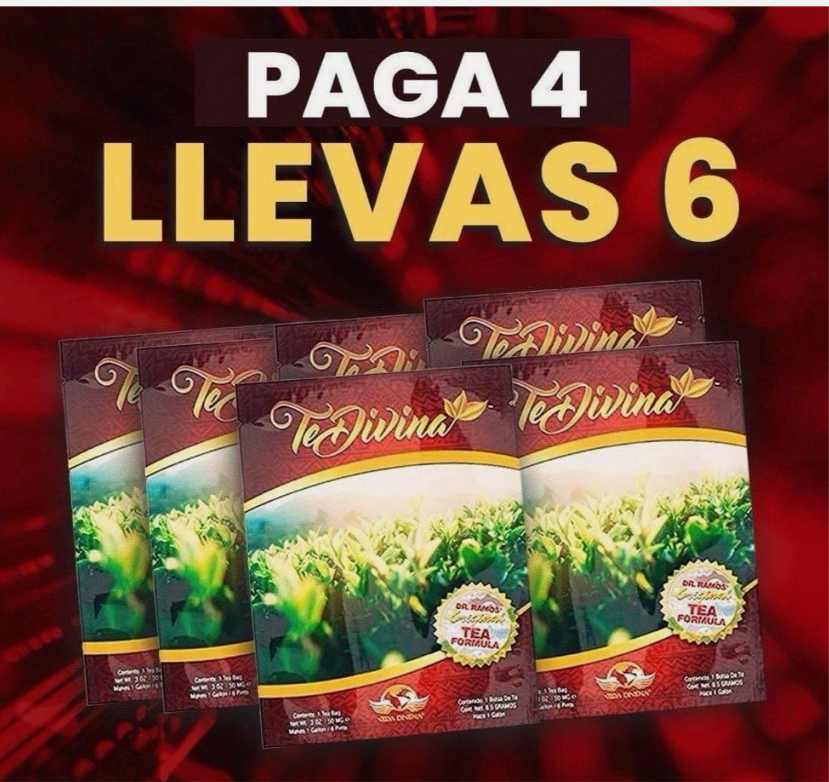 TEDIVINA